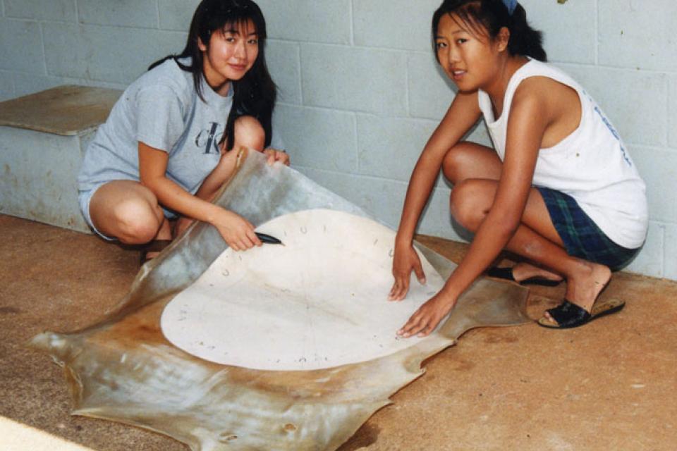 Two girls crouch on the floor to size the skin for their taiko